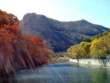 管家婆黑白马报图库，往复泵流量调节